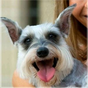 Meet your Posher, Aaron